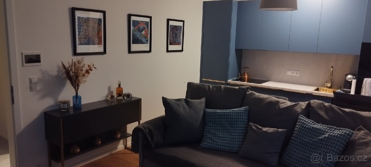 Pronajmu nový, zařízený byt 1kk 42m s terasou - Hagibor - 6