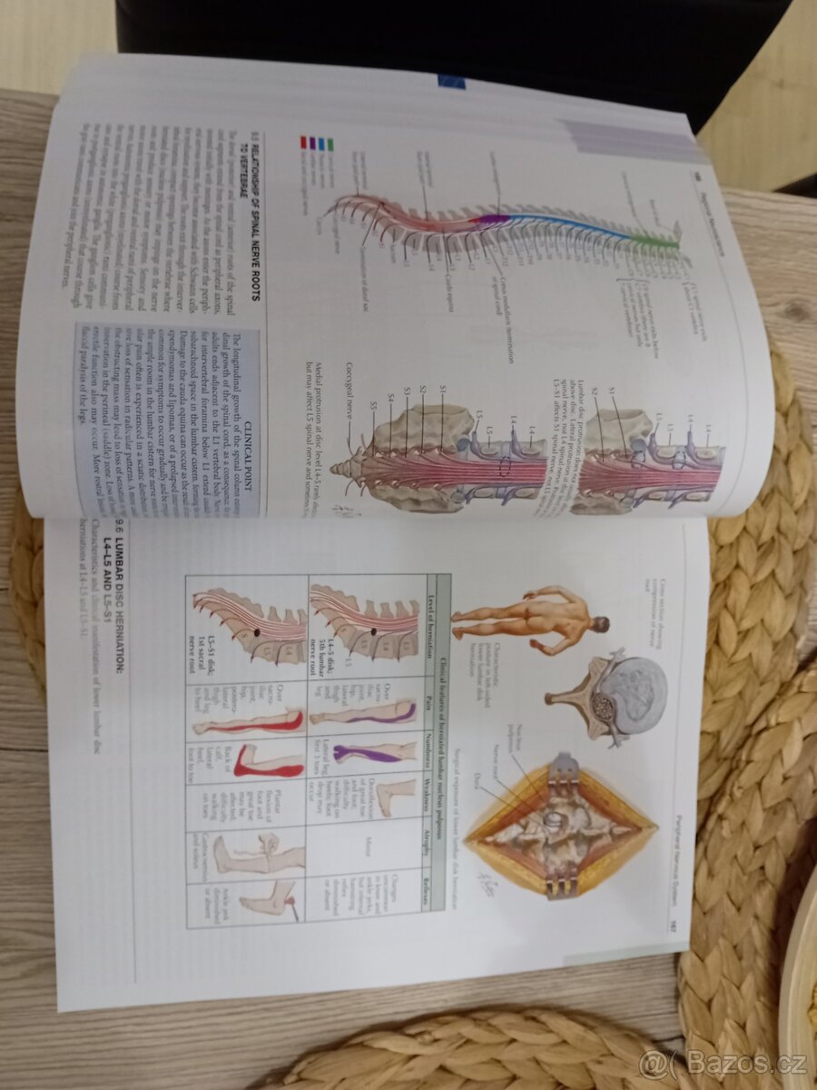 Netter's atlas of neuroscience 4th edition - Felten, neuroa - 6