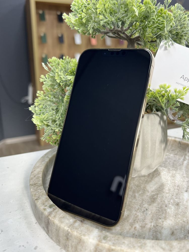 Apple iPhone 13 Pro Max - 6