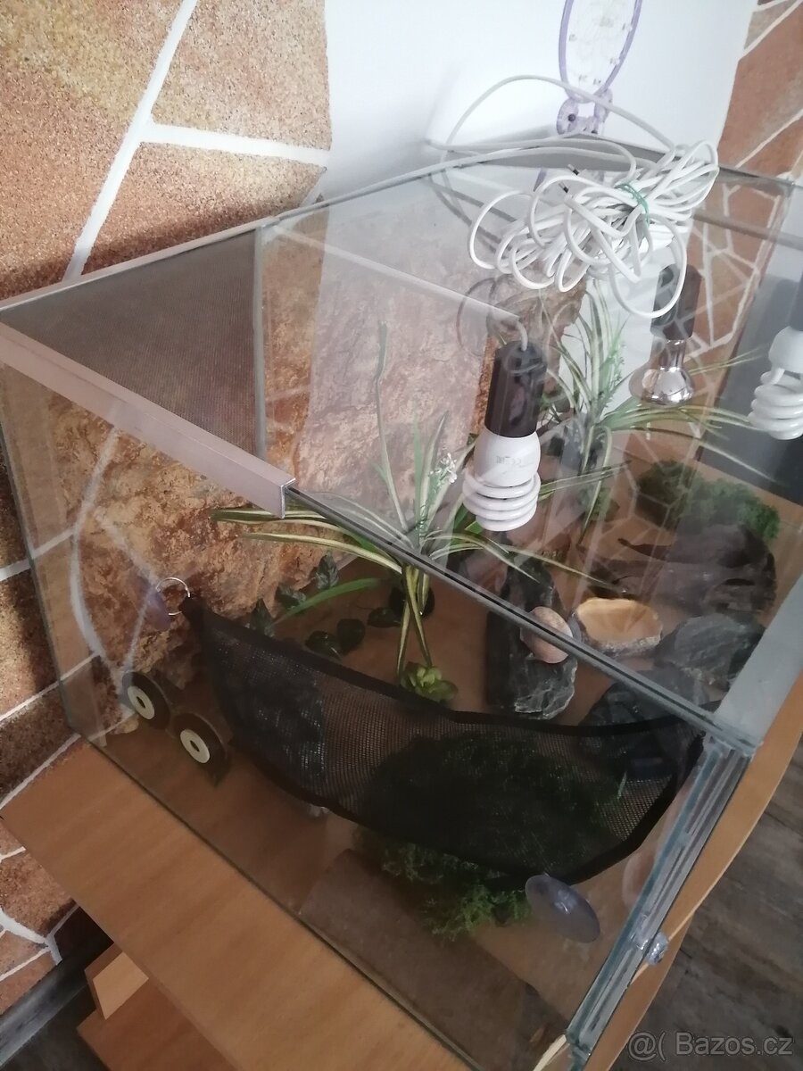 Skleněné terárium - 6