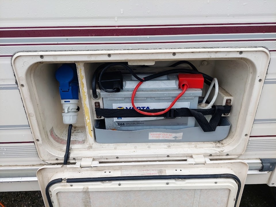 BAYLEY PAGEANT MAJESTIC | rok v. 2001 | hmotnost 1 050 kg - 6