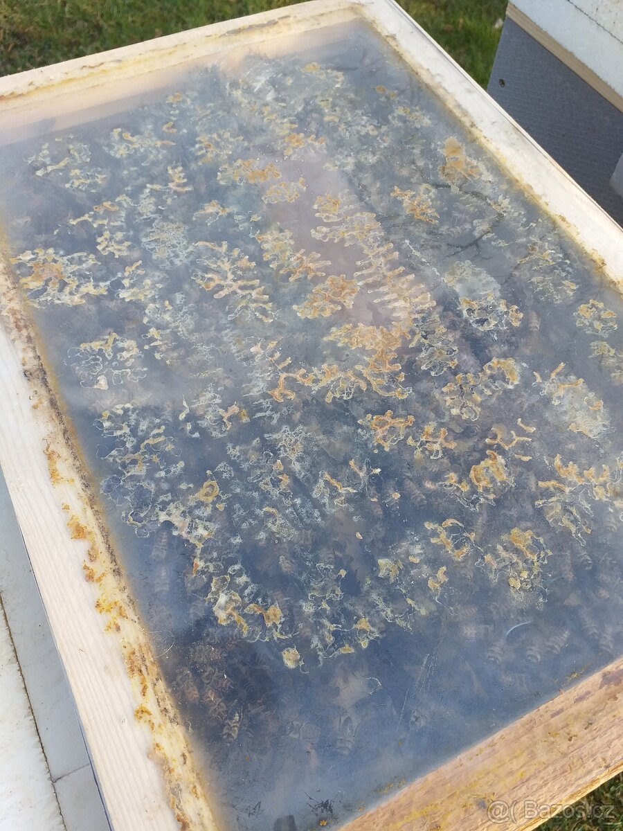 Vyzimovaná včelstva, včelí oddělky - 6