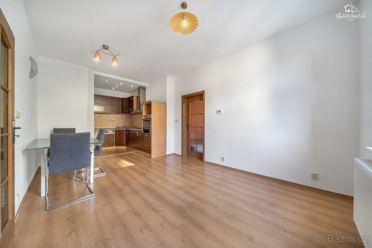 Pronájem bytu 2+kk 46 m², Plzeň - Jižní Předměstí - 6