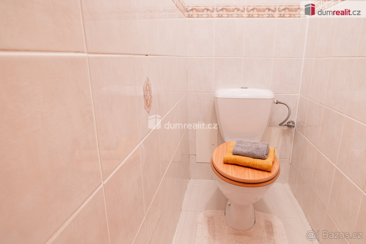 Prodej rodinného domu 9+2, 350 m2 - Mladá Boleslav - 6