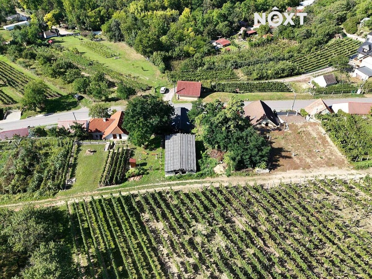 Prodej ostatní Vinný sklep, 80㎡ - 6