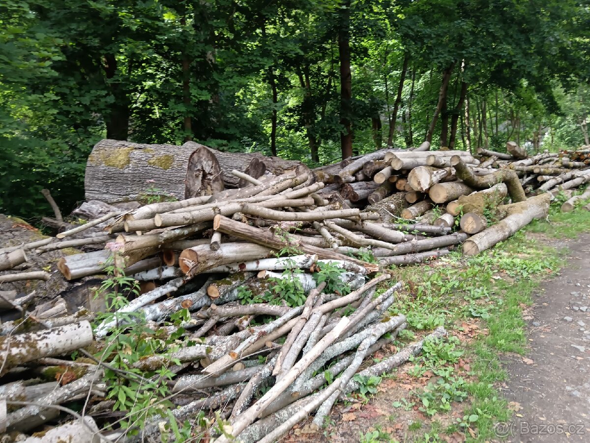 Dřevo na topení - 6