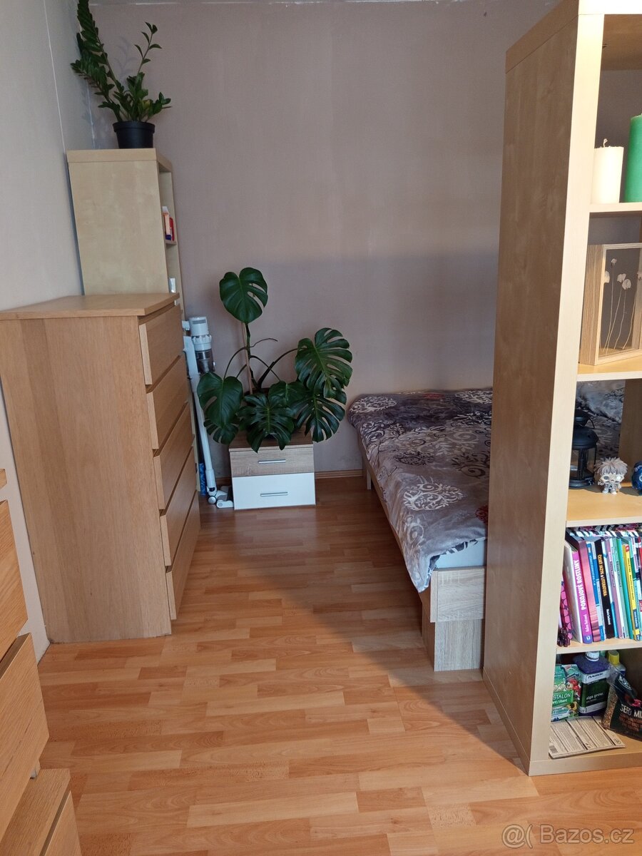 Pronájem bytu - 6