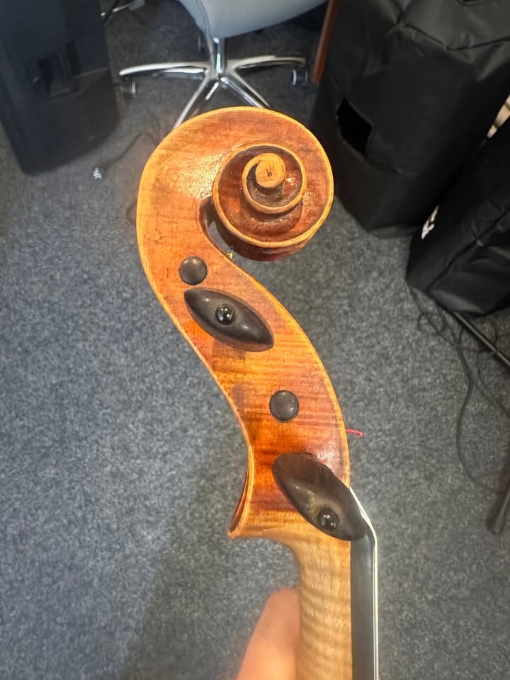 Viola 38.9, značeno Bartolomeo Obici - 6