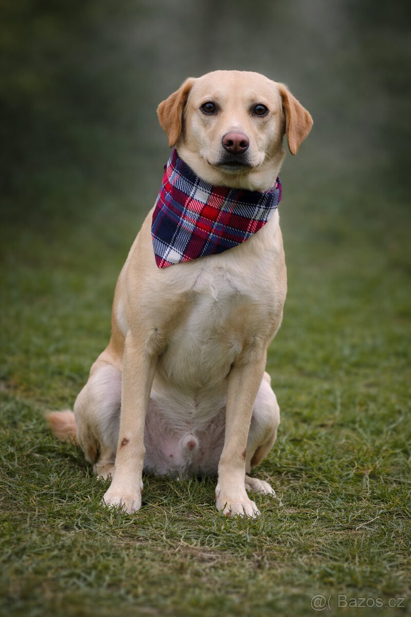 Sirius hledá domov - 6