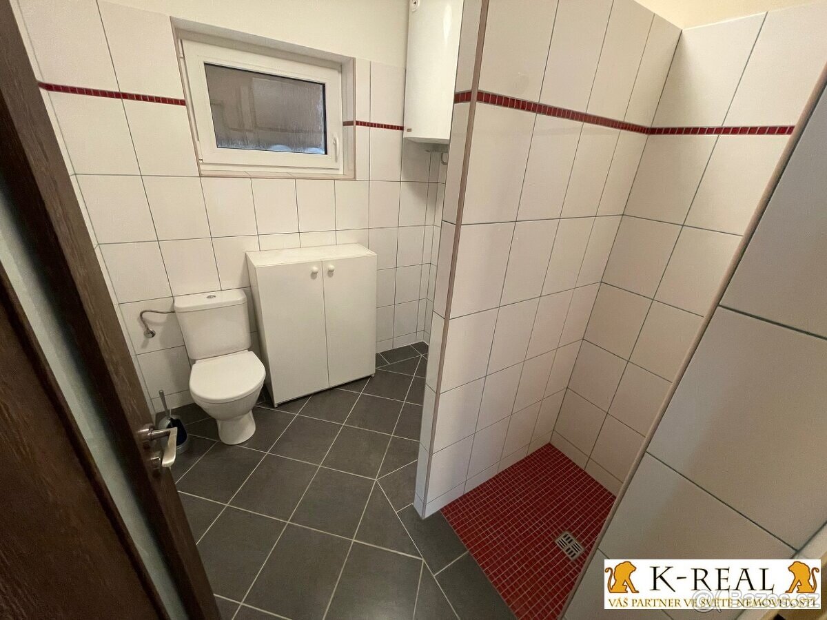Pronájem RD 3+1 Božice, okr. Znojmo - 6