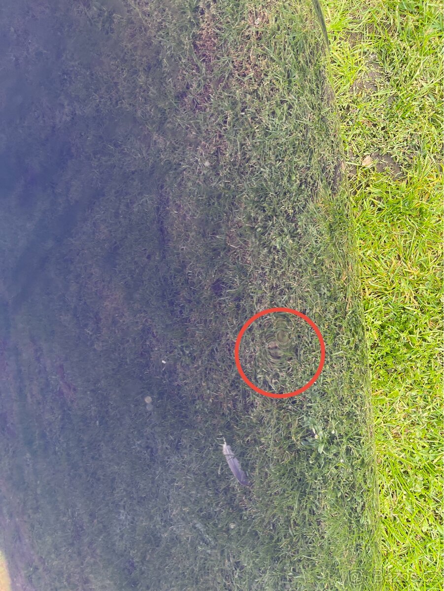 Prodám kapotu golf iv - 6