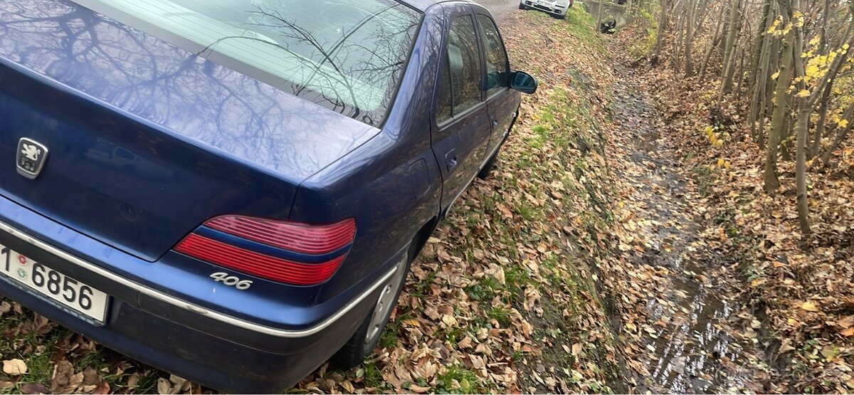 Peugeöt 406 - 6