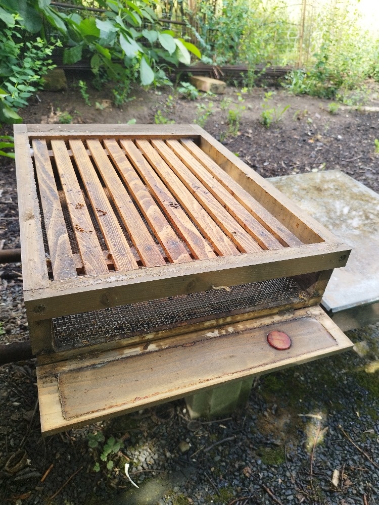 Prodám včelstva včetně úlů ¾ Langstroth. - 6