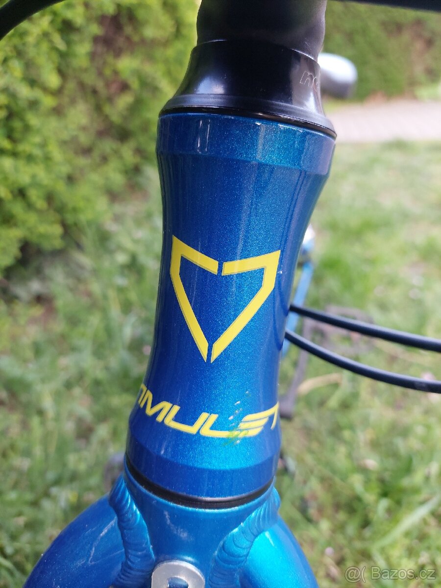 Amulet Tomcat 24" - 6