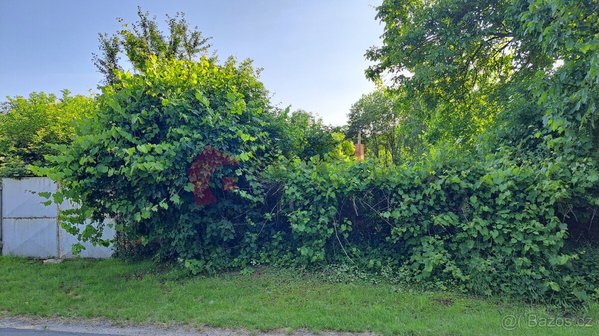 Prodej stavebního pozemku 606 m2, Těšice u Nezamyslic - 6