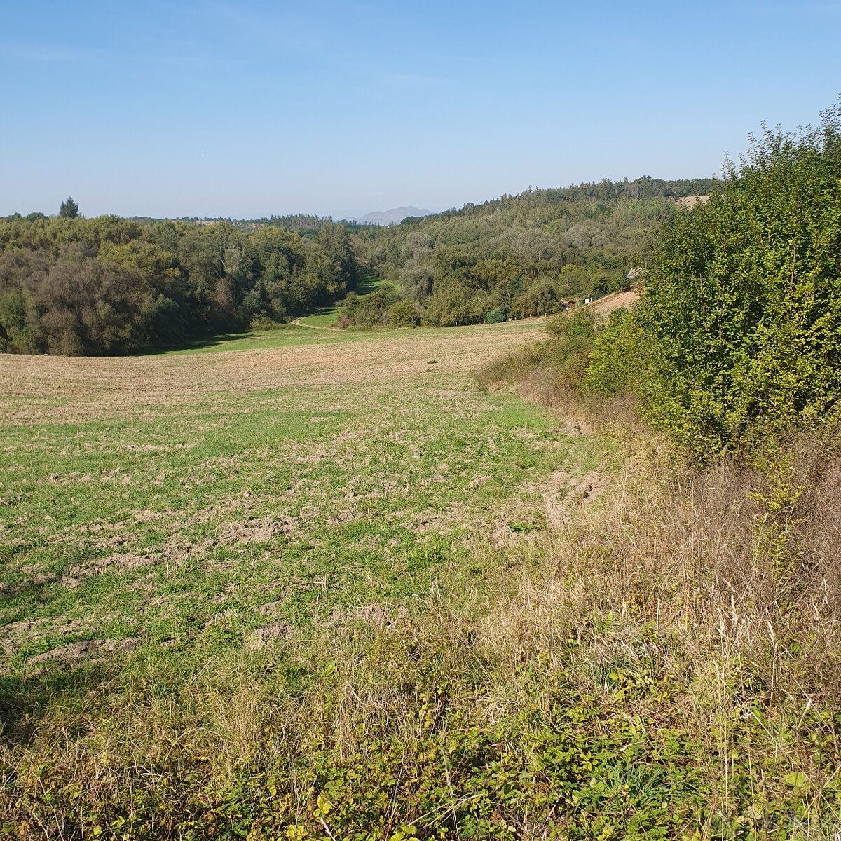 Prodám krásný pozemek za obcí Smolnice u Loun - 6
