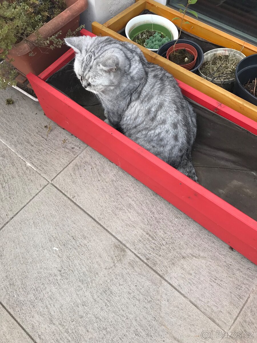 Truhlíky dřevěné květináče 3 ks velké - 6