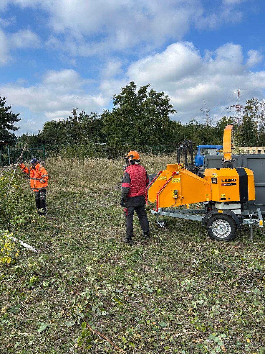 Drevni stepka - mulcovaci kura - 6