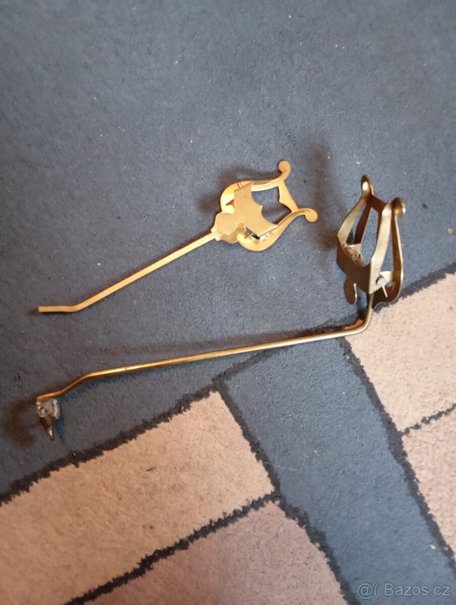 Tenor baskřídlovka - 6