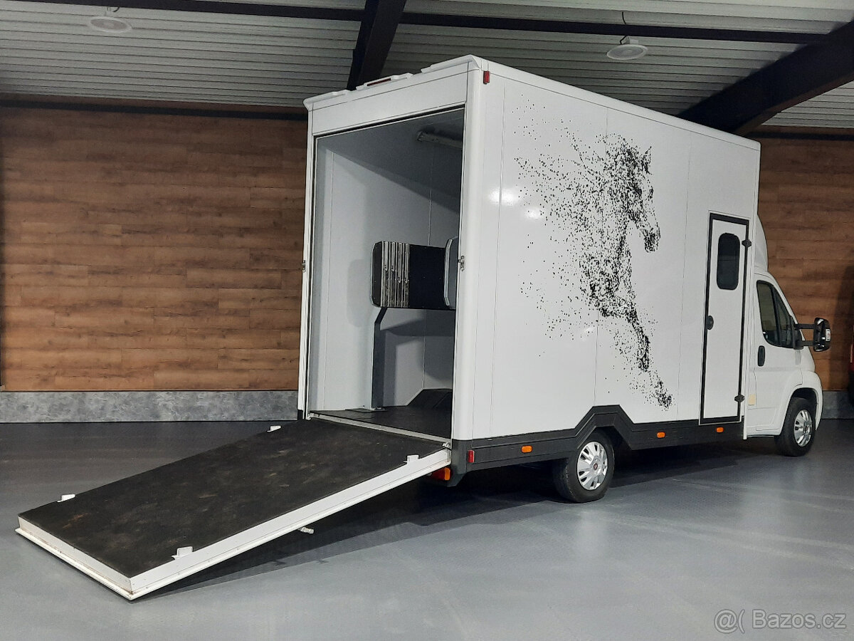 Fiat Ducato - prepravník koní, prepravník na kone - 6