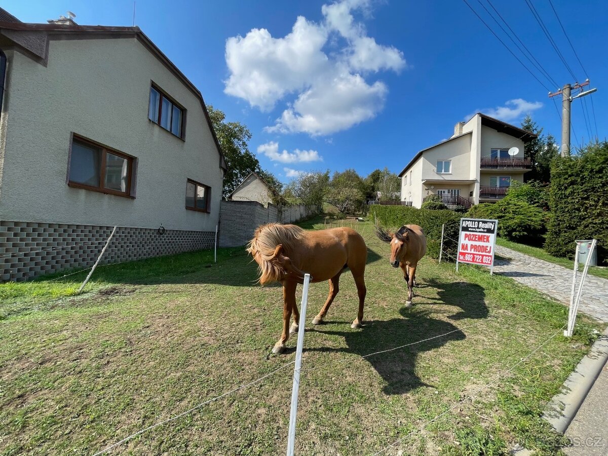 PRODEJ PZ PAŠOVICE - 6