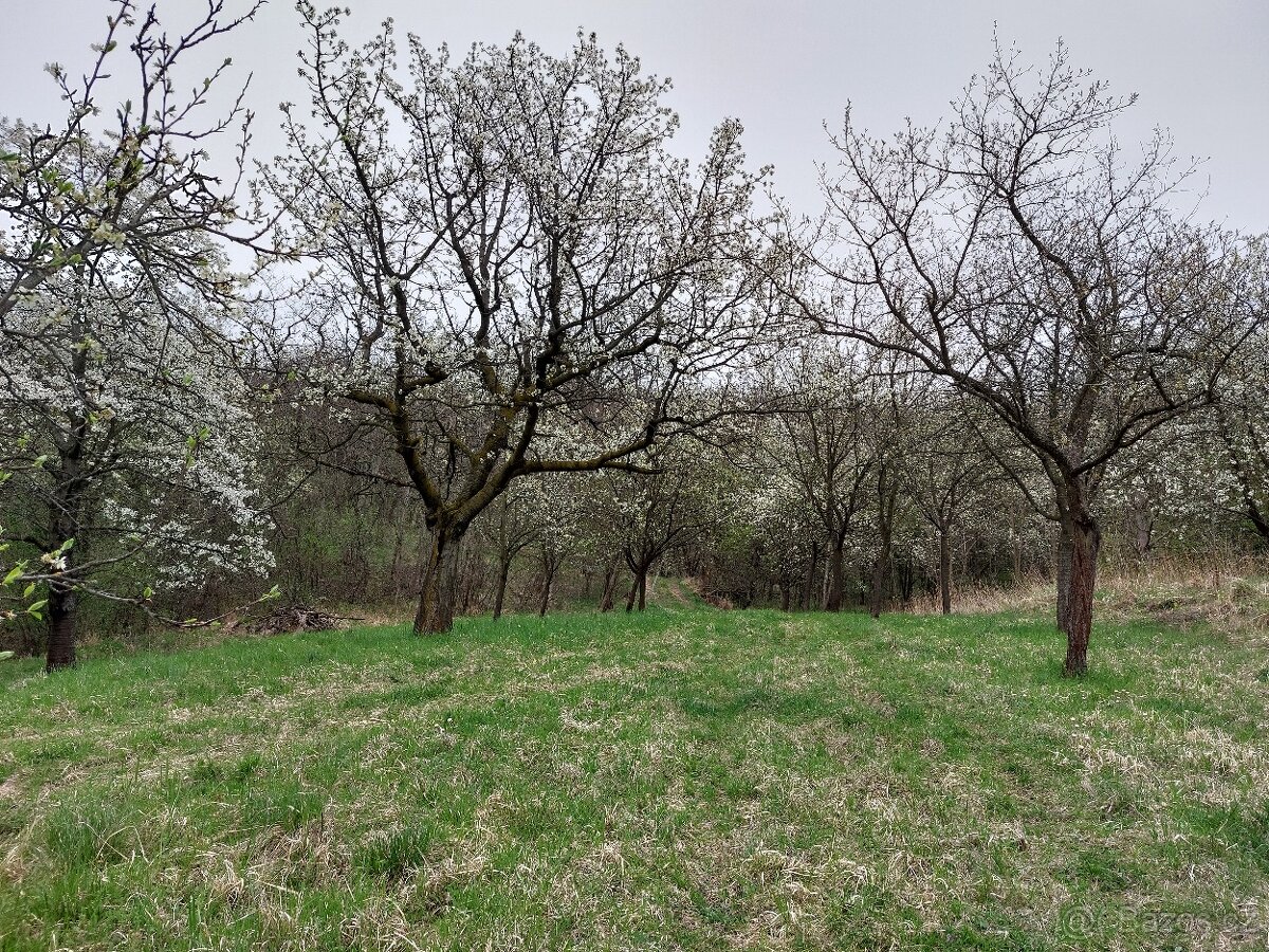 Pozemek s možností stavby chaty - 6