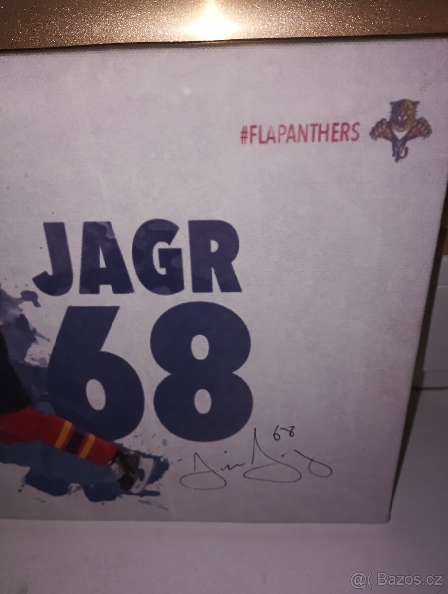 Jagr - 6