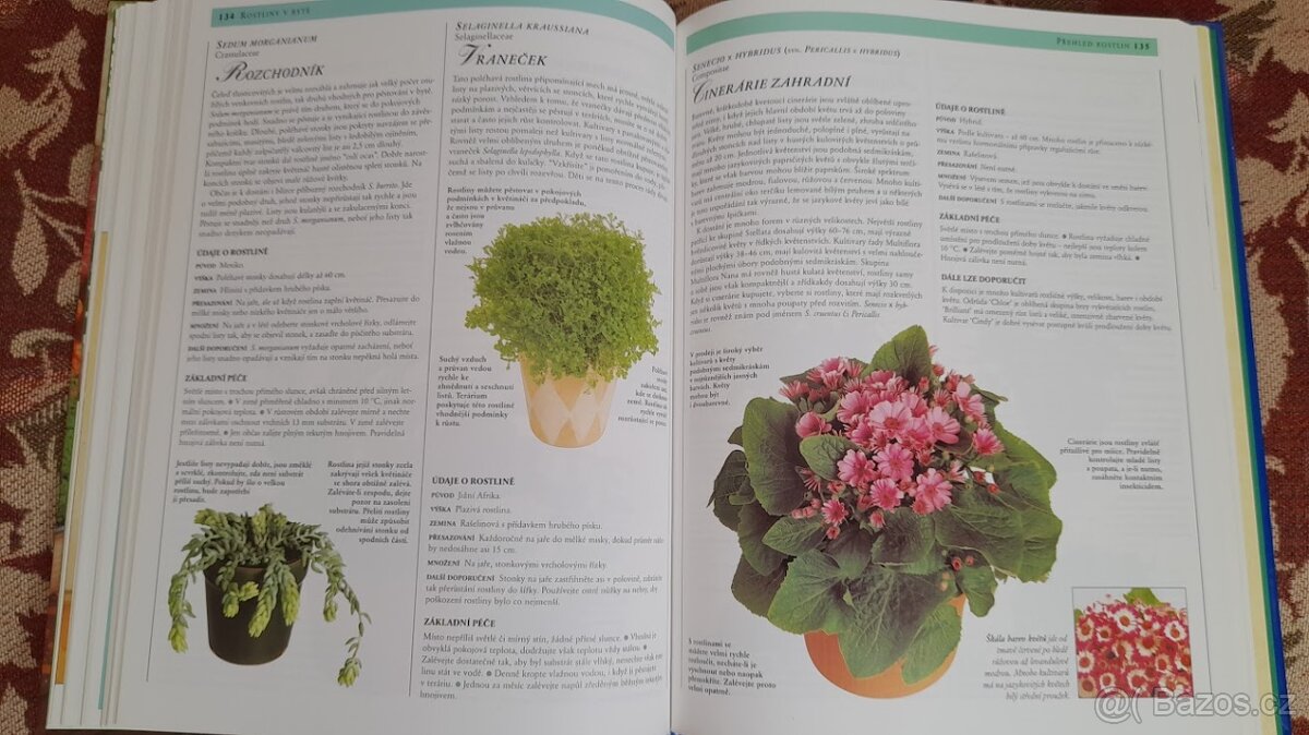 Rostliny v bytě, Izbové rastliny(slovensky) - 6