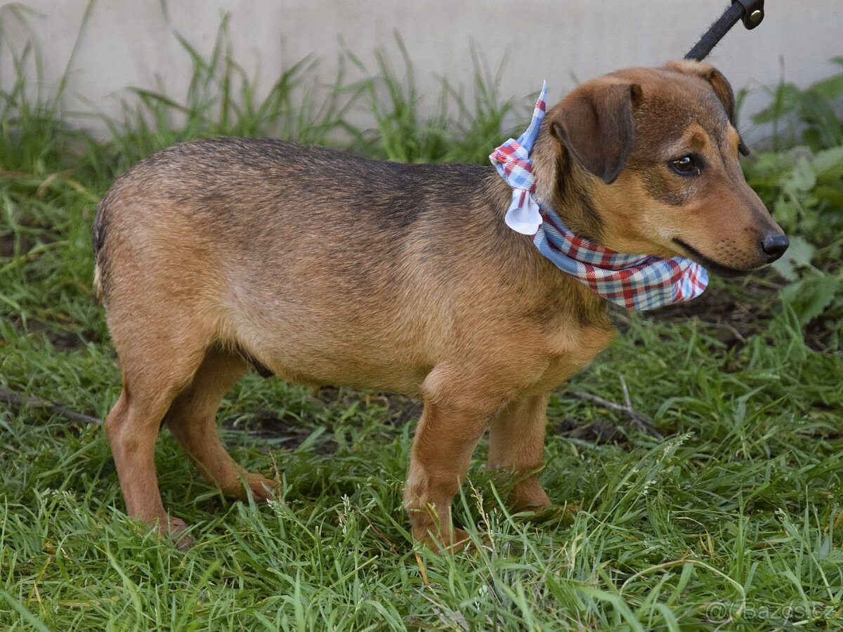 Jeremy hledá domov - 6