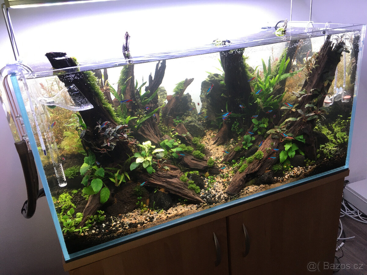 Realizace akvárií na míru – Přírodní, rostlinná i Malawi - 6