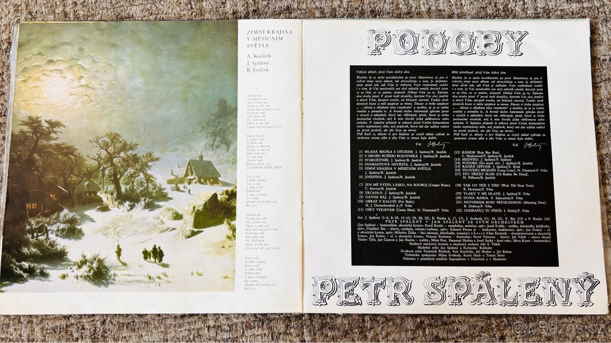 Prodám LP, Spálený, Janda - 6