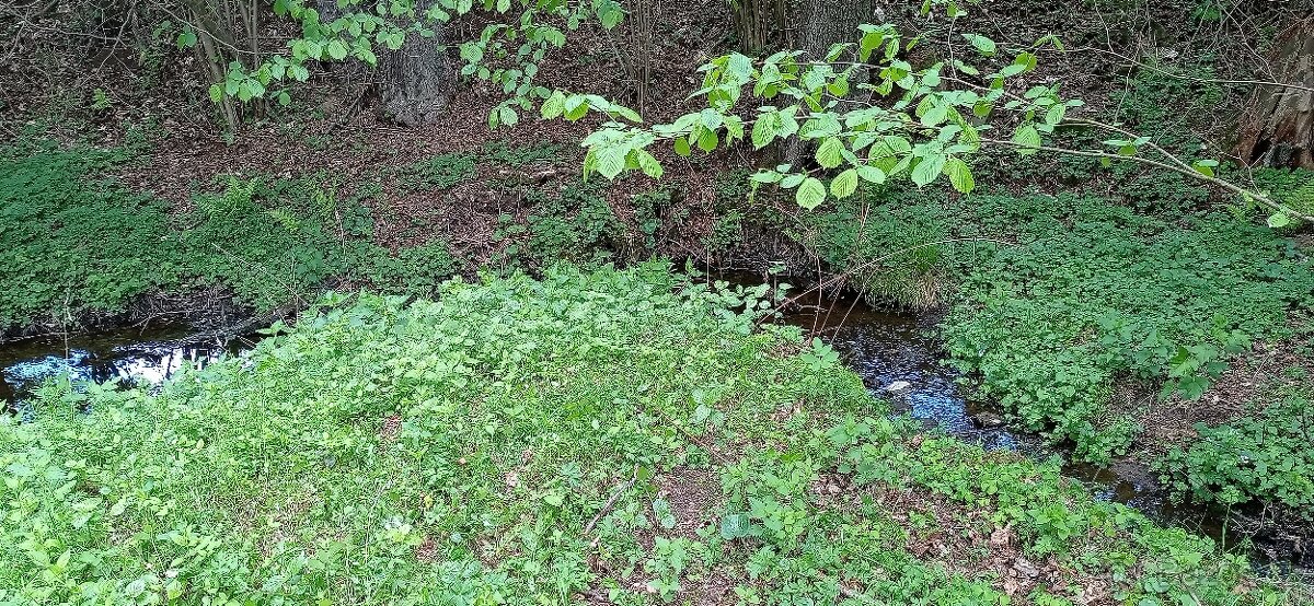 Prodej chaty u Telče - 6