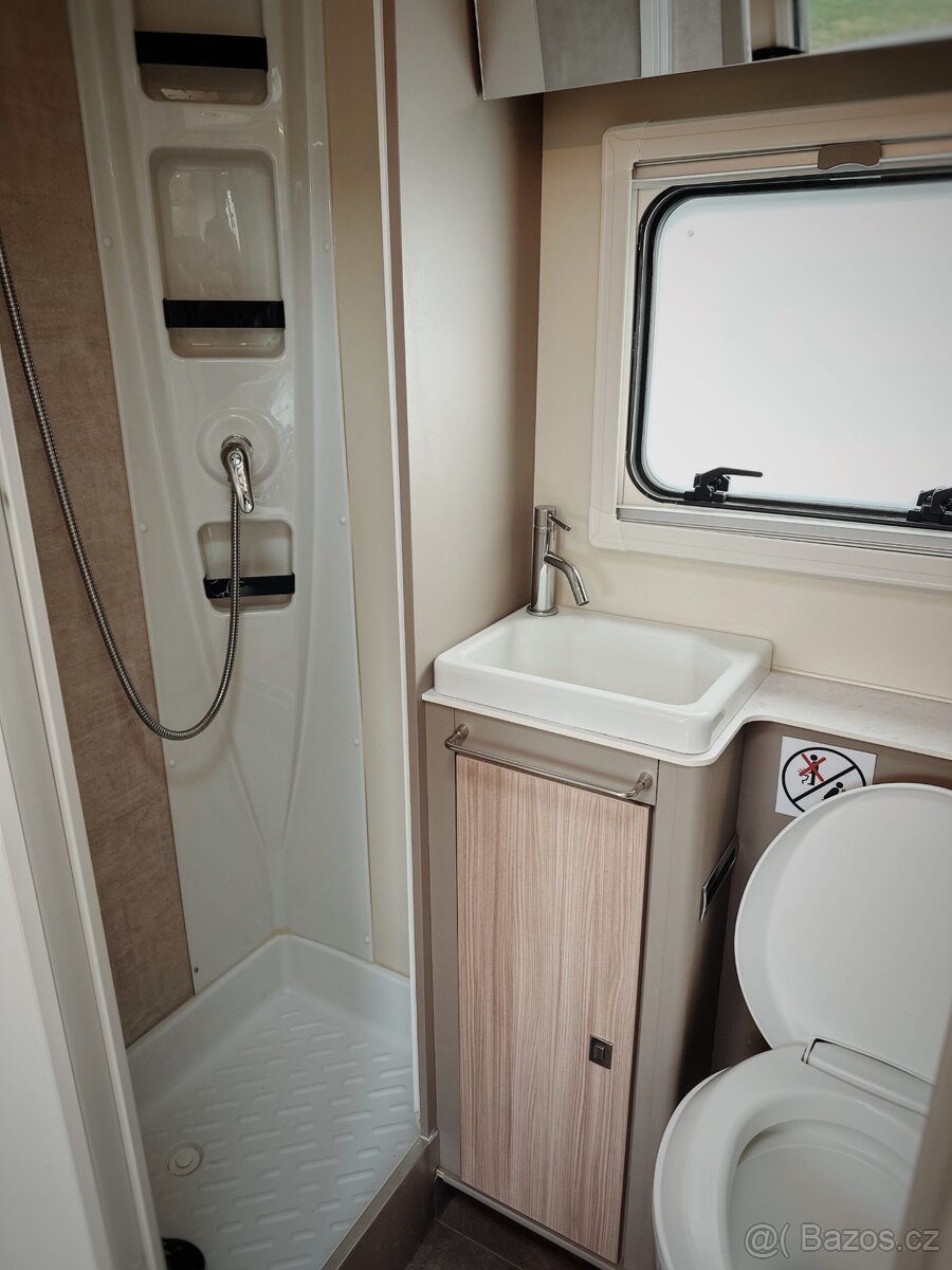 Ahorn Canada Tu- plus - 6