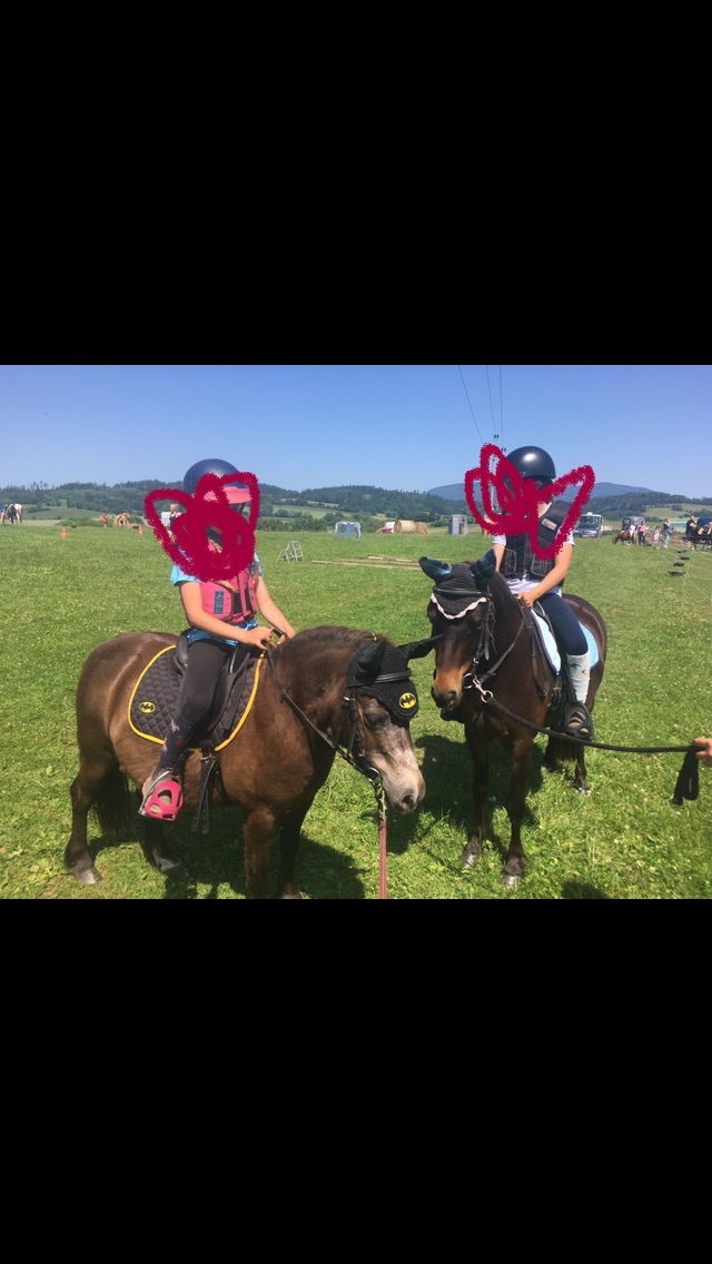 Jedinečný poník - 6