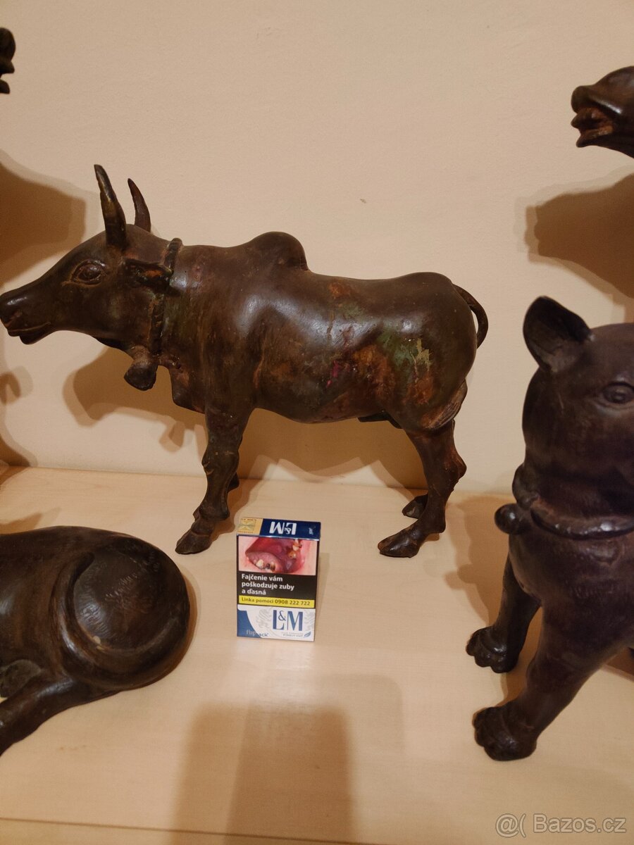 Ázijské zvieratá - 6