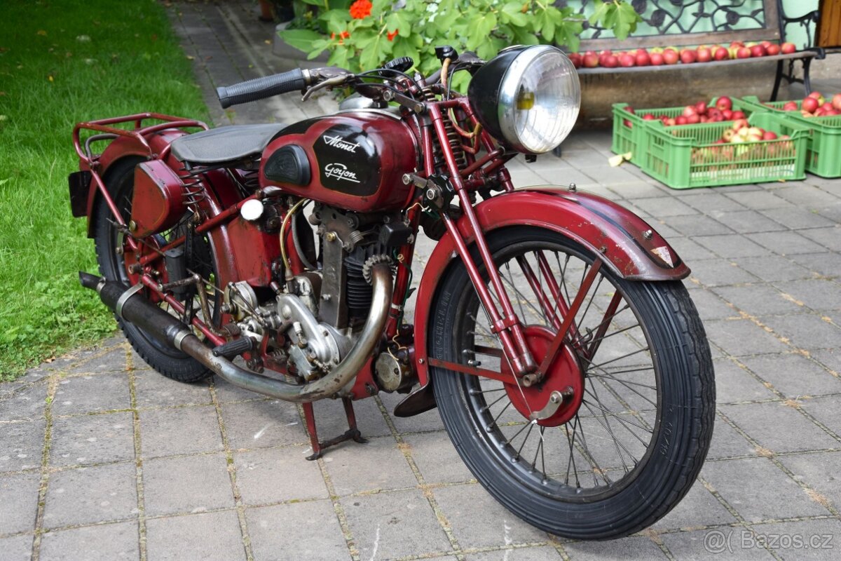 Monet Goyon 250 OHV - 6