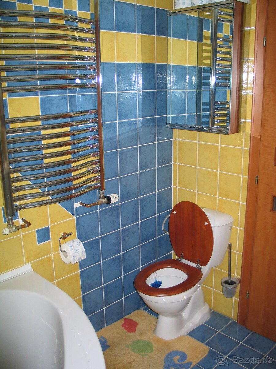 Byt u Riegrových sadů - výhled na Hradčany a okolní střechy - 6