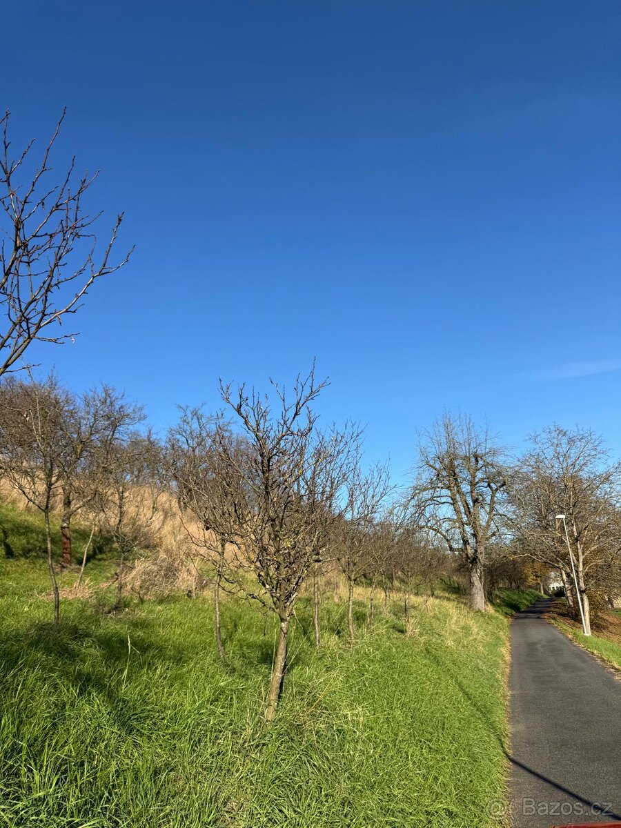 Prodám pozemky v k.ú. Prštné - 6