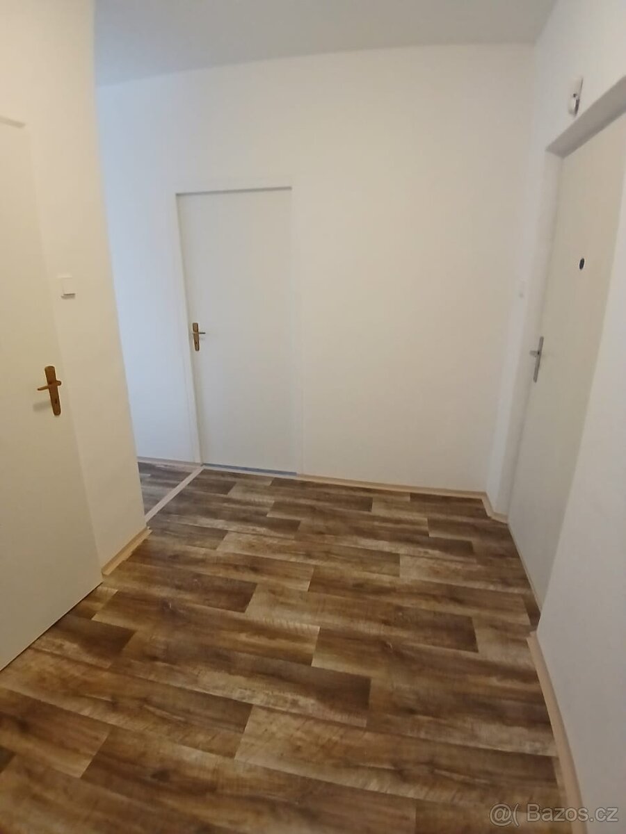 Pronájem 2+1 - 6