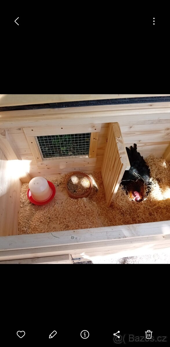 Odchovna, kurníček, pro slepice, křepelky - 6