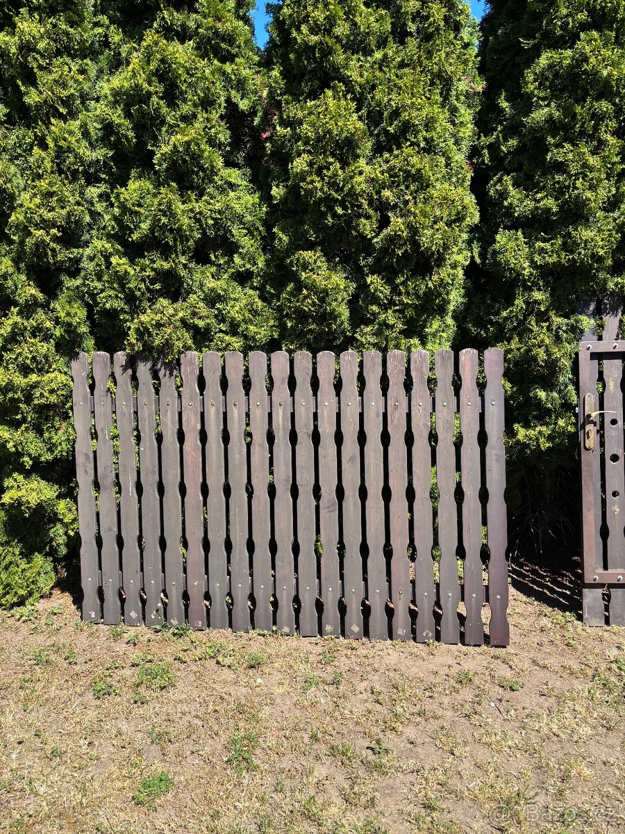 Plot - 6