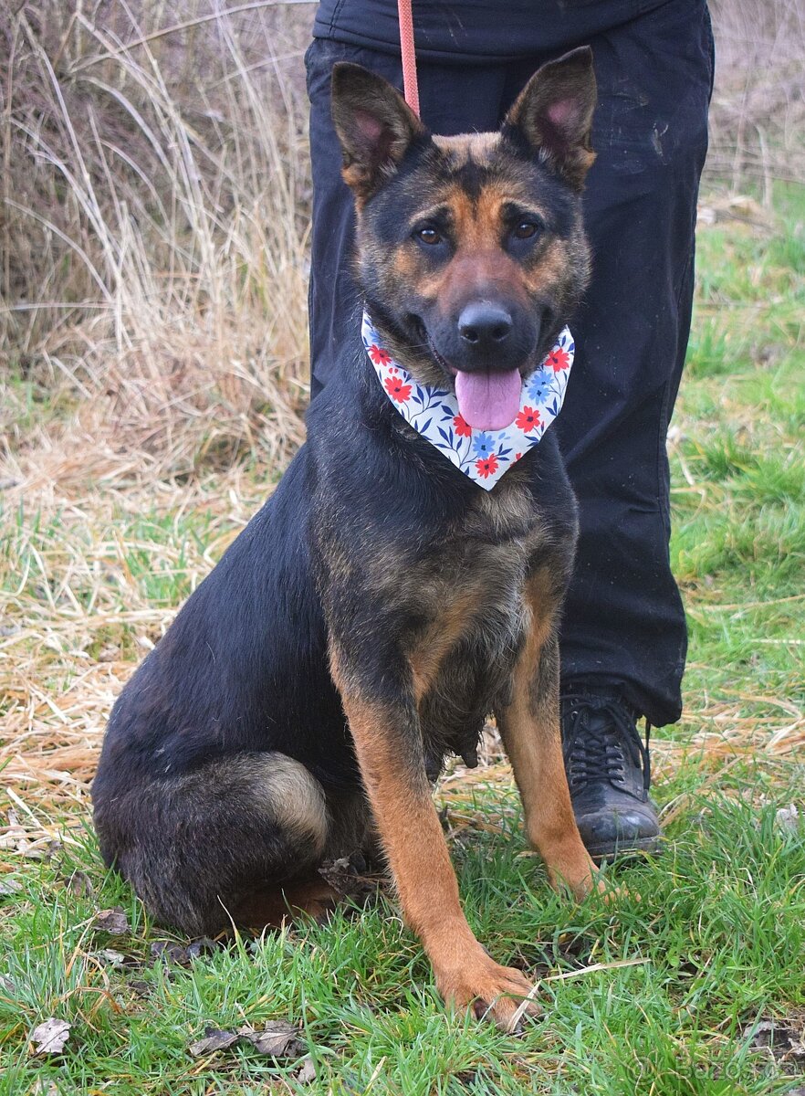 Frederika – hledá milující domov - 6