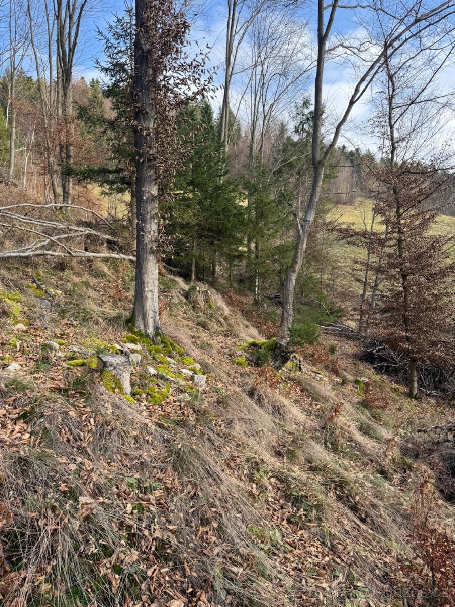 Prodej pozemků k.ú. Huslenky - 6