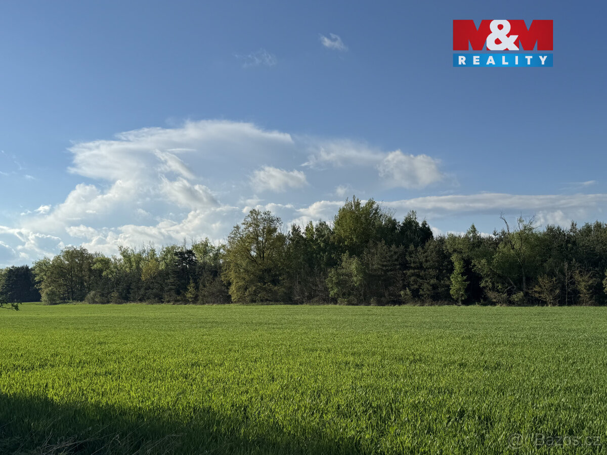 Prodej komerčního pozemku, 10254 m², Homole - 6