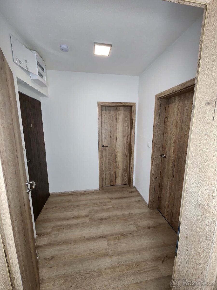 Pronájem bytu1+kk - 6