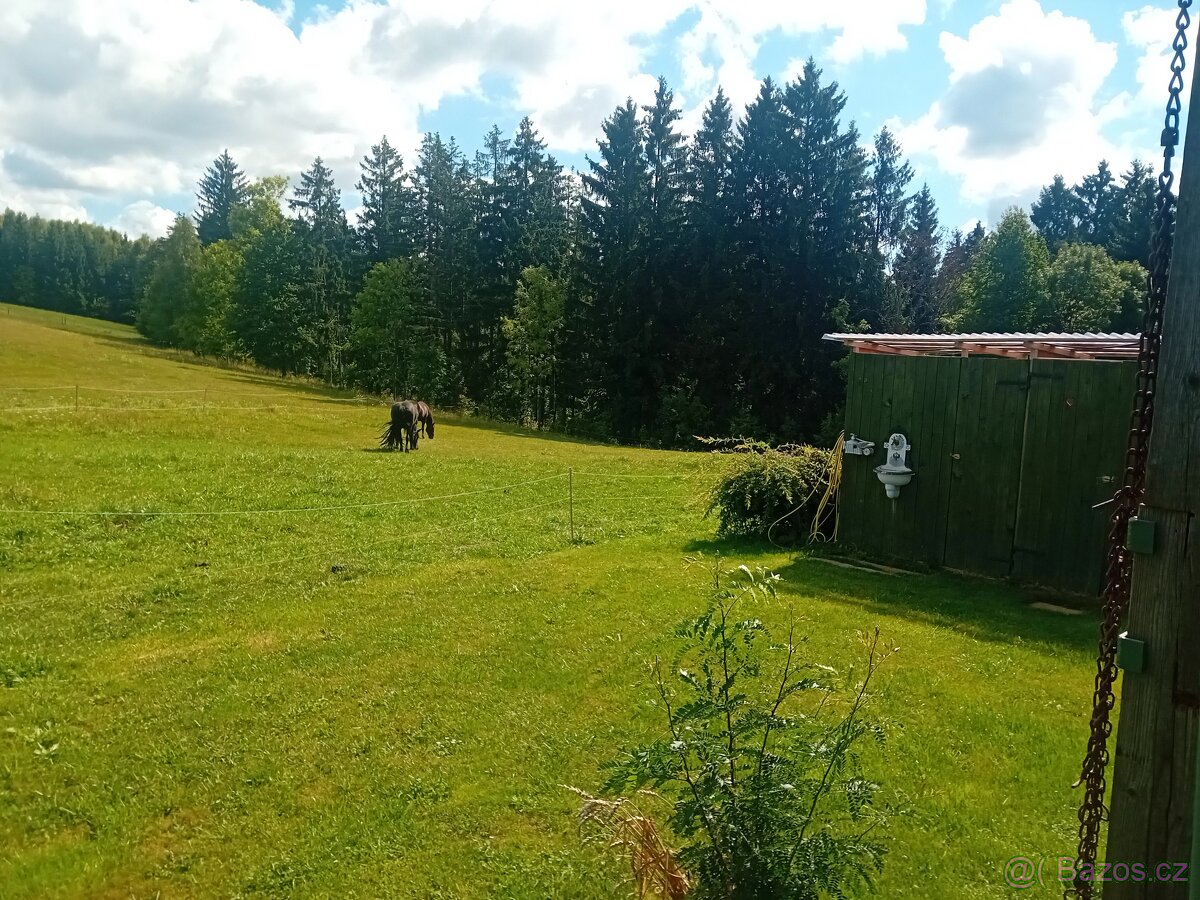 Pastevní ustájení - 6