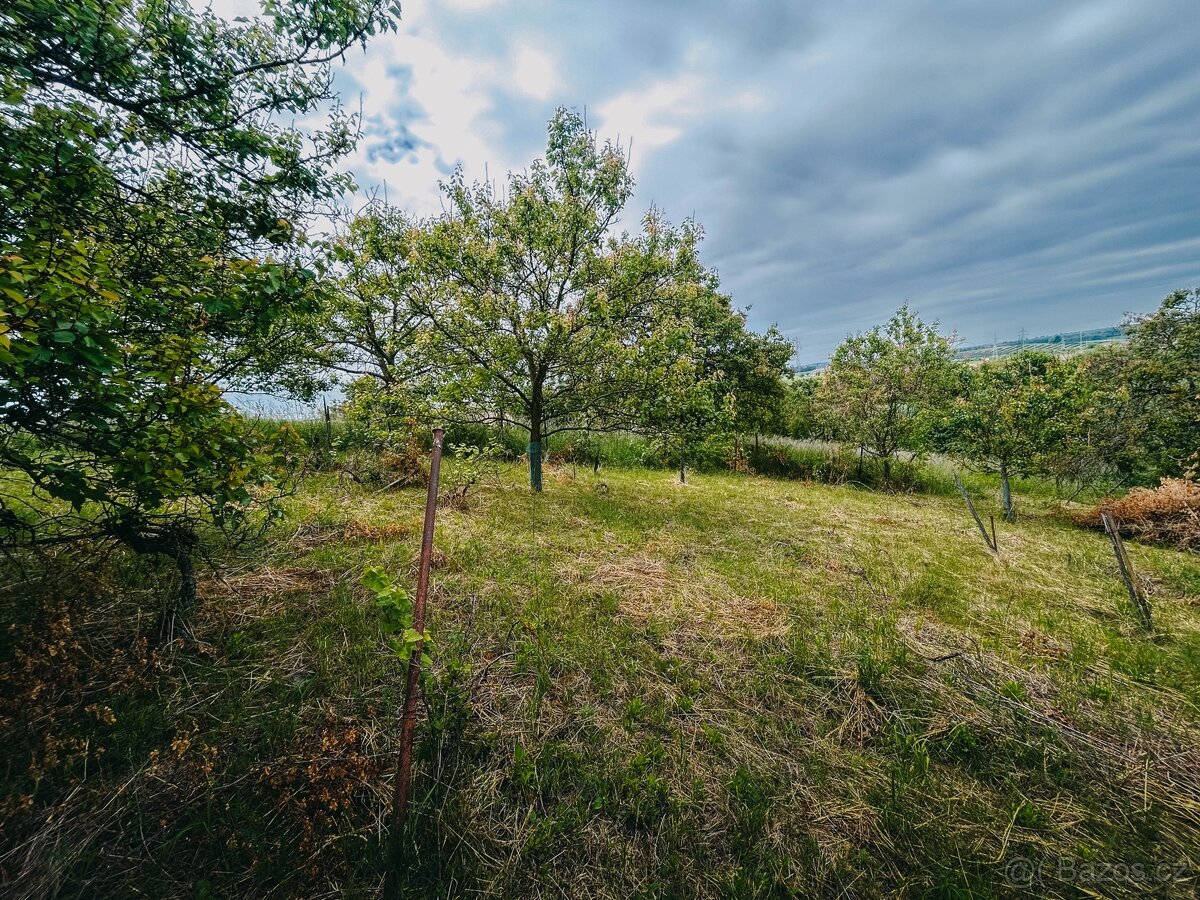 Zahrada Kyjov Sliny, plocha 1049m - 6