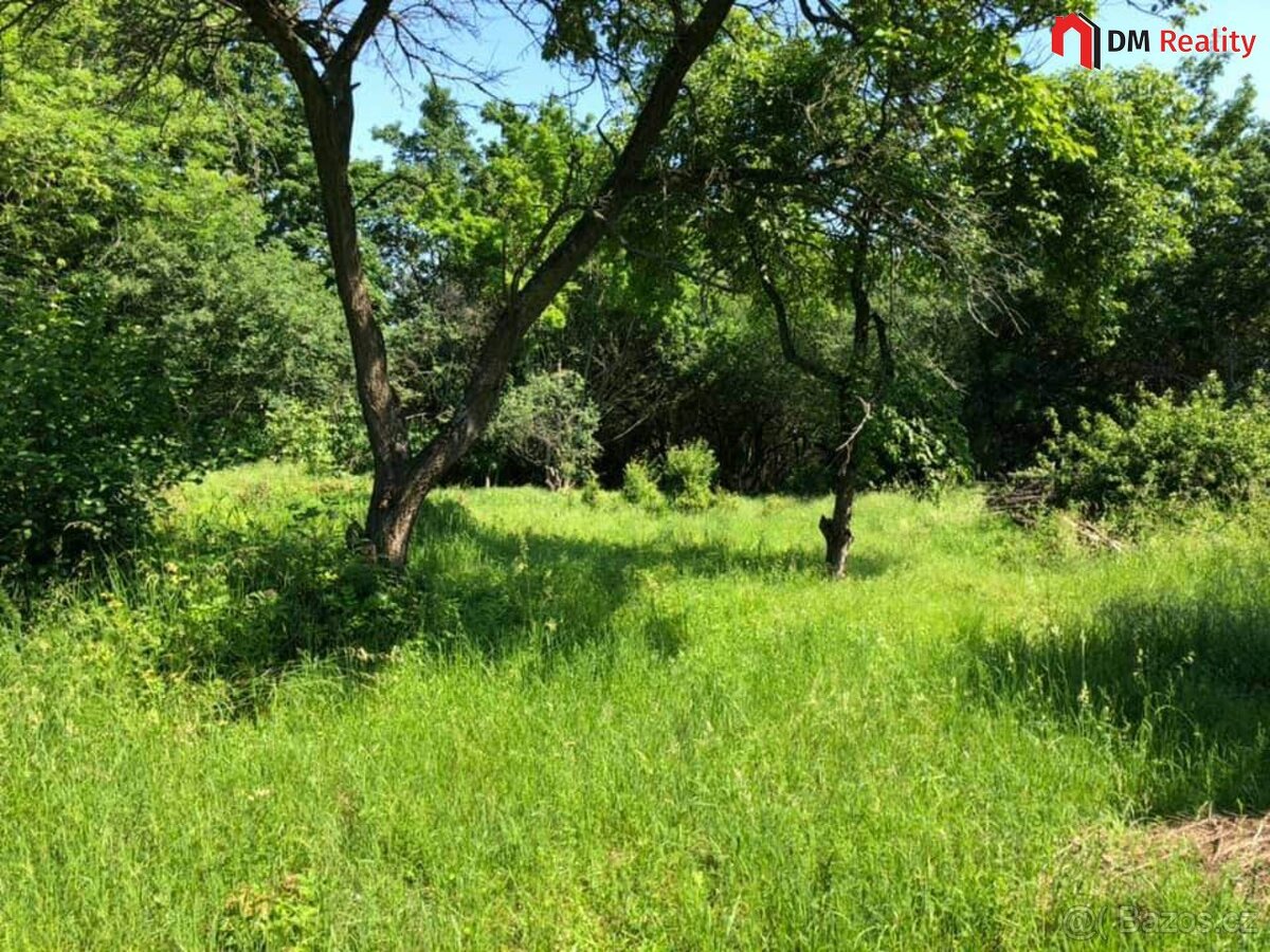 Prodej zahrady 5231 m2, Dalovice - 6