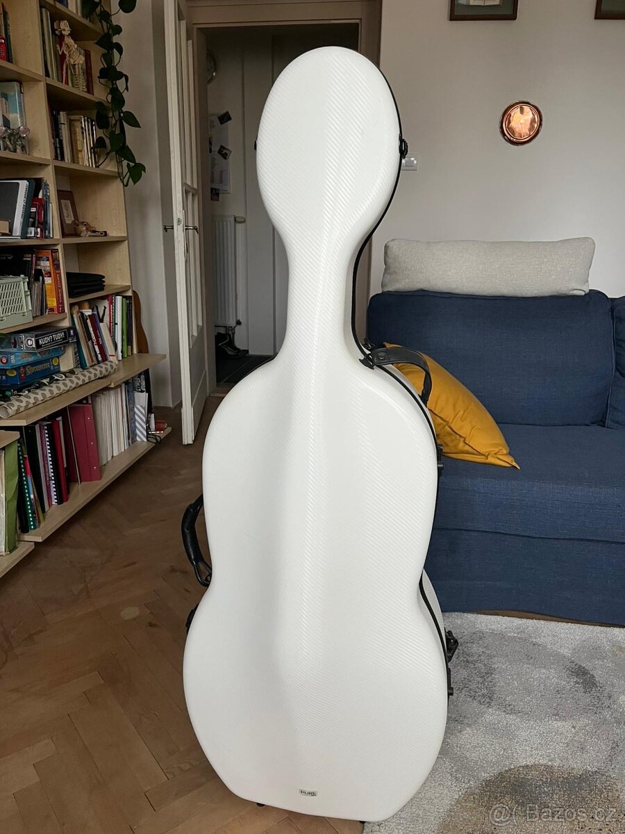 Violoncello 1/1 - 6