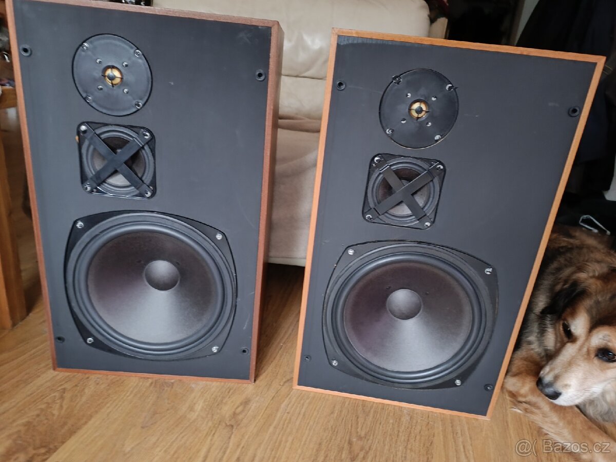 Repra Tesla ARS 1058 HiFi -30 cm bass - 6